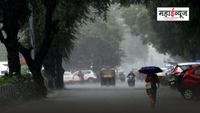 Monsoon will be active again in the state from today