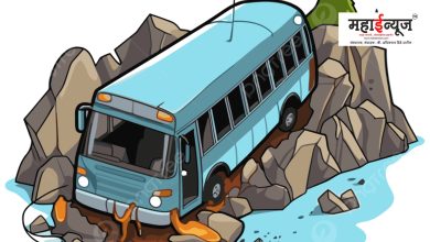 A bus fell into a 50 feet ravine in Varandha ghat, the driver of the bus died on the spot