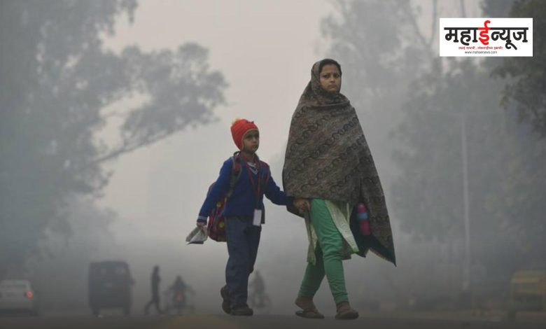 Intensity of cold will increase in Maharashtra; Information from Meteorological Department