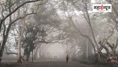 The mercury has dropped in many cities of Maharashtra, cold wave will come