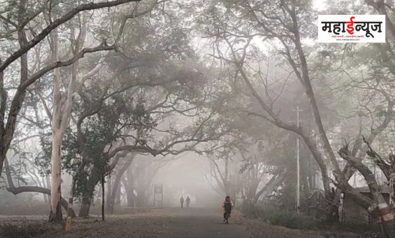 The mercury has dropped in many cities of Maharashtra, cold wave will come