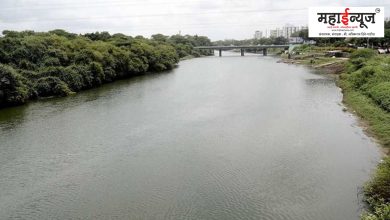 Appointment of 'River Security Force' for conservation of rivers