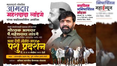 Country's Largest Equine-Desi Bovine Cattle Show in Pimpri-Chinchwad