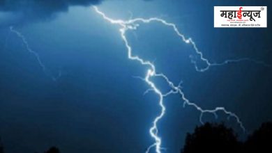 Oh heartbreaker! A calf along with nine cows died due to lightning