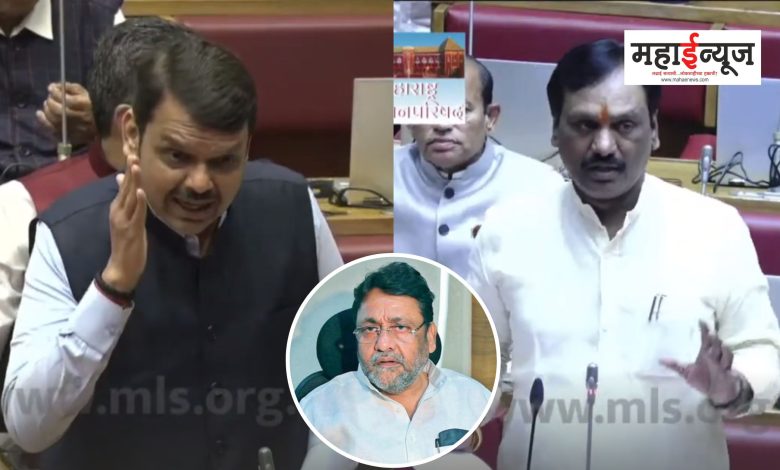 Ambadas Danve and Devendra Fadnavis clash in Legislative Council over Nawab Malik