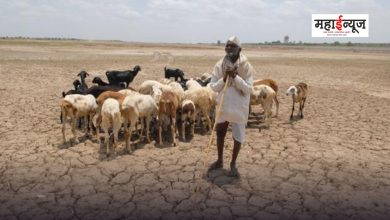 The central team will visit Maharashtra for drought monitoring