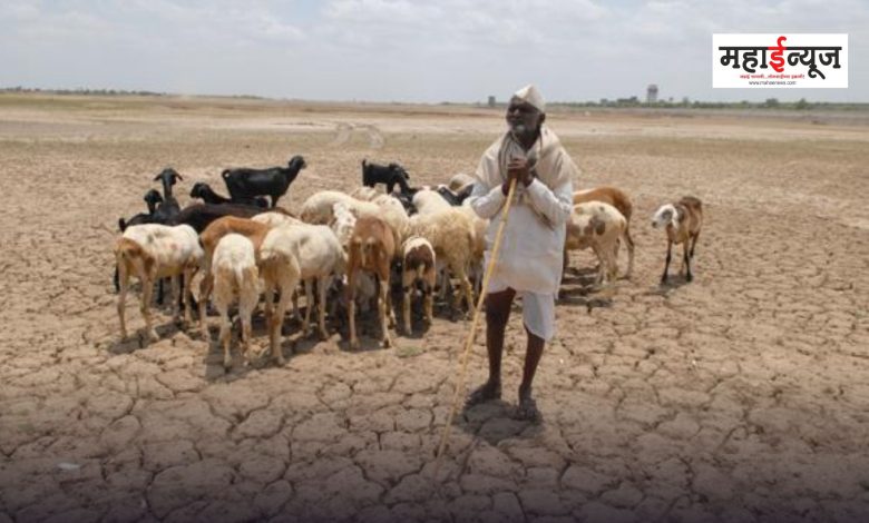 The central team will visit Maharashtra for drought monitoring