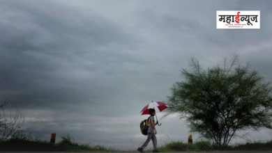 Heavy rain forecast in next 24 hours in Maharashtra
