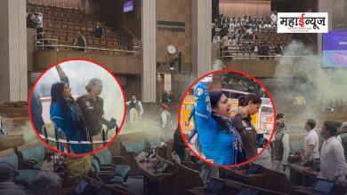 After the incident in Parliament, the woman's loud sloganeering