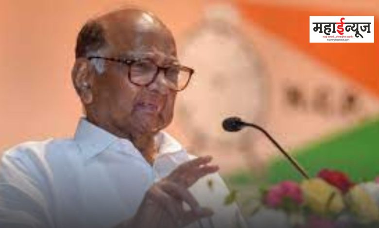 Nationalist Sharad Pawar group's show of strength in Pimpri-Chinchwad; Public meeting tomorrow