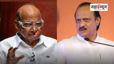 Sharad Pawar said where Ajit Pawar came from and who brought him