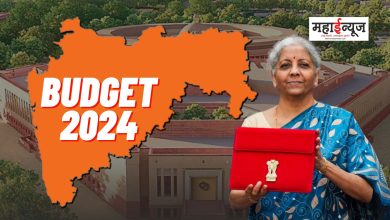 What did Maharashtra get from Budget 2024?