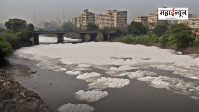 The Indrayani river in Alandi is foaming again