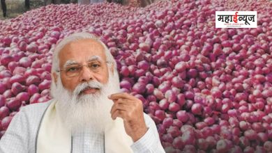 As soon as the central government lifted the export ban, onion prices rose sharply