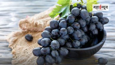 What are the benefits of eating black grapes?