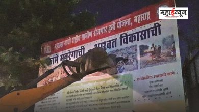 In the wake of the Lok Sabha general election, 32 thousand billboards were removed in the district
