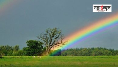 Why and how are rainbows formed?