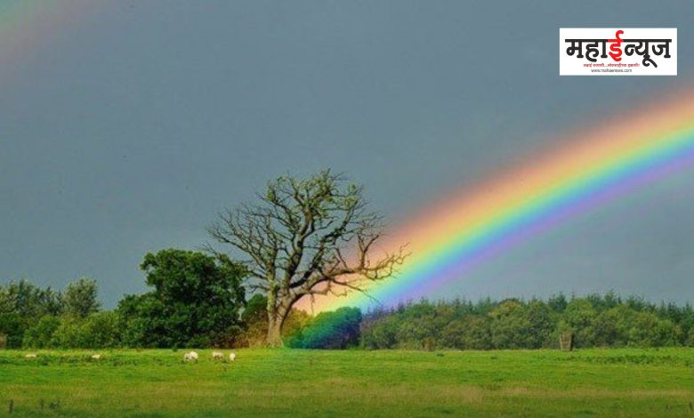 Why and how are rainbows formed?