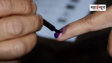 When was the blue ink applied to the finger used for voting for the first time?