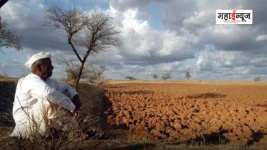 Take immediate measures to prevent farmer suicides, court orders