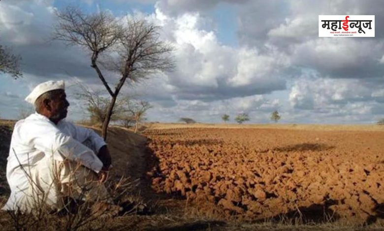 Take immediate measures to prevent farmer suicides, court orders