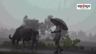 Rain alert in some districts of the state