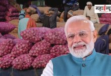 The central government has now allowed the export of onion