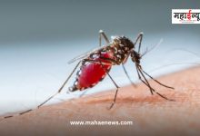 Prevent the breeding of mosquitoes in the area to eliminate dengue