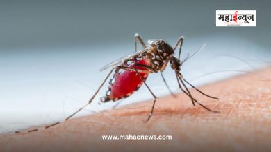 Prevent the breeding of mosquitoes in the area to eliminate dengue