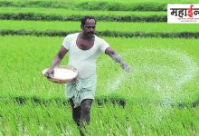 Farmer died in Jalgaon due to heatstroke in the field