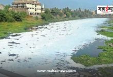 Indrayani river foamed again