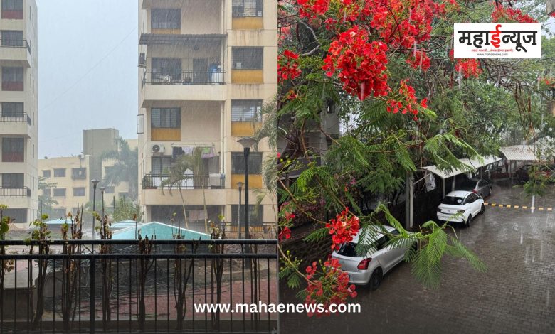 Unseasonal rain: Heavy unseasonal rain in Pune-Pimpri-Chinchwad area!