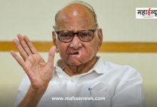 Sharad Pawar said that many regional parties can merge with Congress