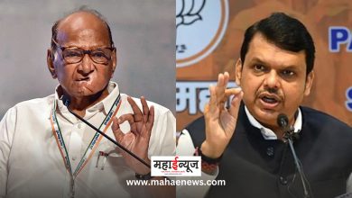 Shirur Lok Sabha Election: 'Rassikhekhe' in Mahayuti-Mahavikas alliance for Gavjatra ground in Bhosari