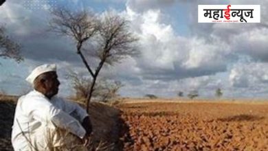 Solapur, farmer, suicide, field, chemical, water, land degradation,