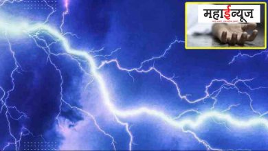 In Vidarbha, Jor, 'Dhar', In Nagpur, lightning, two dead,