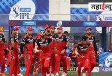 RCB, after eight years, playoffs, entry, fans, excitement, atmosphere,