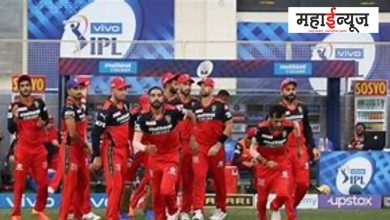RCB, after eight years, playoffs, entry, fans, excitement, atmosphere,