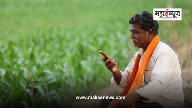 Complaints regarding the sale of agricultural inputs can be made on WhatsApp