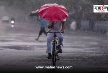 Yellow alert for rain in these districts of the state