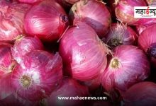 Onion rates will be decided by the Ministry of Commerce
