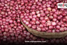 Big increase in onion price, how much price in which market