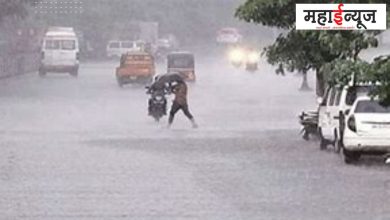 Weather, khat, district, rain, yellow alert, Mumbai, heavy rains, forecast,