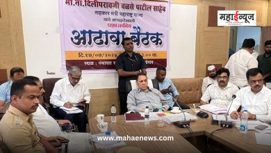 Dilip Valse Patil said to implement the plan effectively along with speedy completion of development works