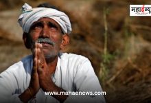6 farmer suicides a day in Maharashtra