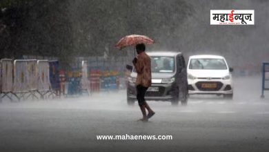 Yellow alert for rain in 14 districts of the state today