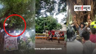 Young man climbing a tree in Shivaji Park and protesting, what is the reason?
