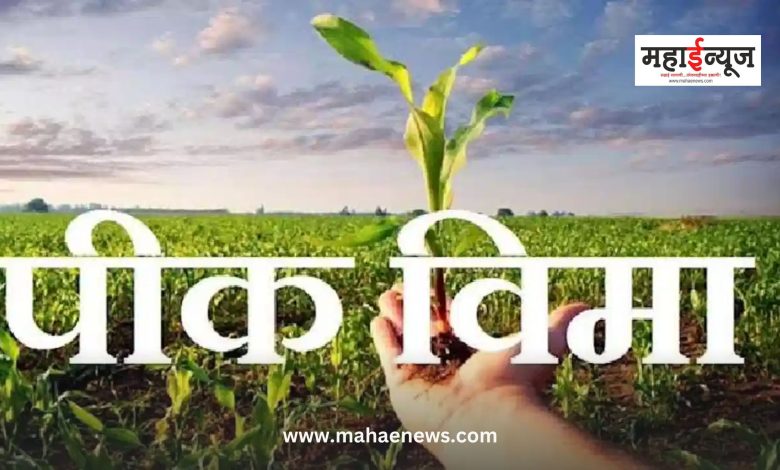 Even if there is a slight change in the name on the Aadhaar card and Satbara extract, the insurance application will be accepted