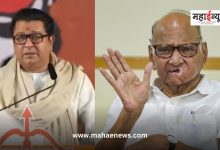 Sharad Pawar said that Raj Thackeray will speak when he wakes up after 2 months