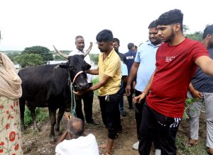 Fascinating, rescue, indrayani, cows, rescue, national, disaster, response, force, expedition, 